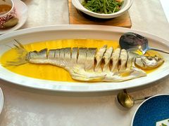 鸡汁大白鱼-食悦江南·淮扬菜·烤鸭(亚运村·惠新店)