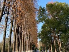 -西溪国家湿地公园