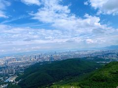 -长虫山生态公园风景林