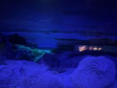 -水洞沟旅游区