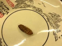 -多哥水傣味餐厅(司马巷店)