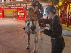 -深圳锦绣中华民俗村