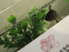 -杭州西湖桔子水晶酒店