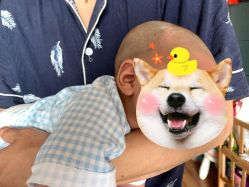 -龙文宝贝上门婴儿理发满月剃胎毛(总店)