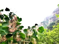 -孤山寨风景区