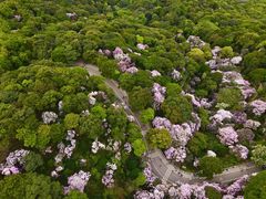 -梧桐山风景名胜区