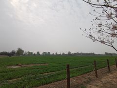 -汉长安城未央宫国家考古遗址公园