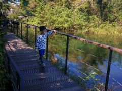 -济州森林小火车生态公园