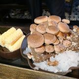 两个人将近10个菜410