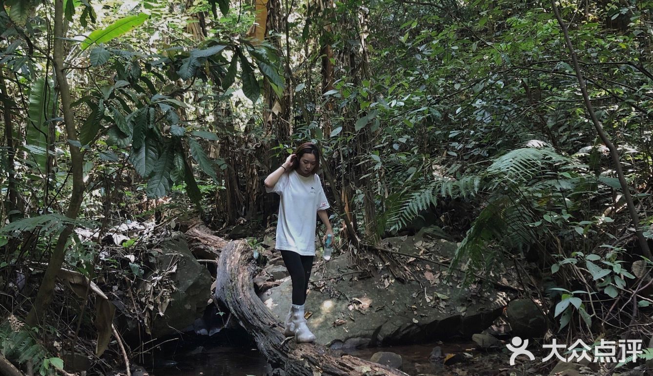 西双版纳小众玩法｜穿越到雨林里吃大餐🍃