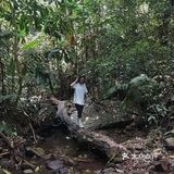 西双版纳小众玩法｜穿越到雨林里吃大餐🍃
