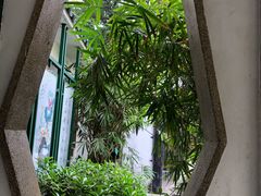 -晓港公园