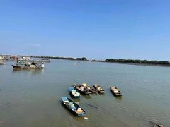 -大湾区中央湿地公园-十九涌