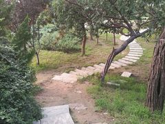 -元大都城垣遗址公园