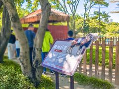 -王借岗森林公园