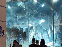 -帝企鹅自助餐厅•儿童岛•真企鹅(长隆企鹅酒店)