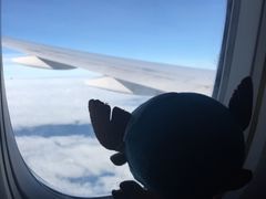 -纽瓦克自由国际机场