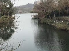 -西湖外事游船(花港观鱼码头)