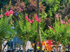-小罗卤鹅(莲花广场店)