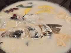-鲜潭蒸汽石锅鱼(五道口购物中心店)