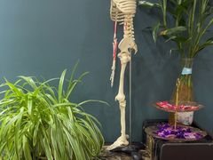 -深蓝盲人推拿·颈肩腰腿疼痛·艾灸调理(清河店)