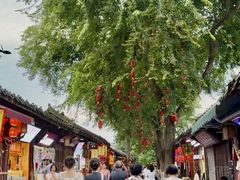 -中天楼