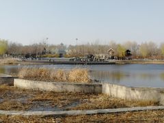 -永定河休闲森林公园