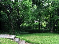 -深圳国际园林花卉博览园