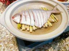 东海白鲳鱼-临江宴(陆家嘴店)