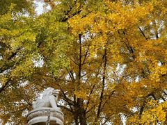 -北京石刻艺术博物馆(五塔寺)
