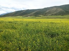 -扁都口生态休闲旅游区