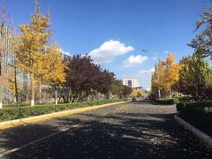 -中关村生命科学园