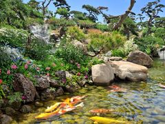 -罗红摄影艺术馆