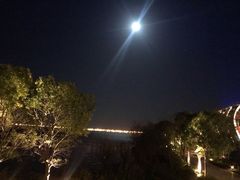 -上海滴水湖皇冠假日酒店