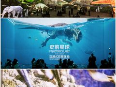 -深圳湾万象城