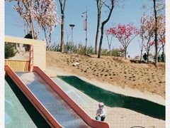 -大兴滨河森林公园