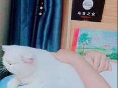 -MOYOYO猫咪咖啡店
