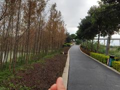-琅岐红光湖公园