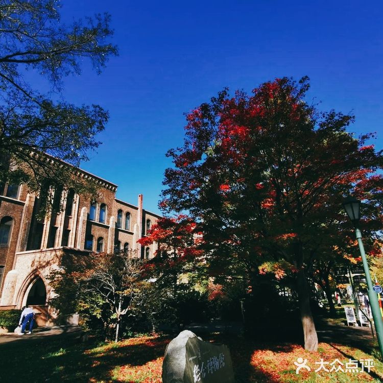 北海道大学赏枫