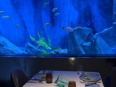 -渔火·特色餐厅(佘山世茂洲际酒店)