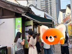 -猫的魔法密林(衣裳街店)