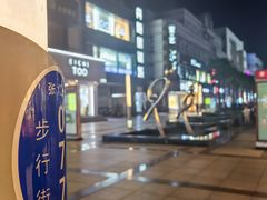 -沙洲路步行街(长安南路店)