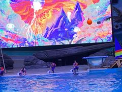 -海合安武汉极地海洋公园