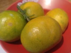 -宋小谨(惠安禹洲店)