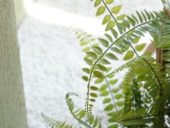 -文三酒肆自助放题(新街口友谊广场店)