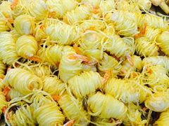 -香港会议展览中心演讲厅