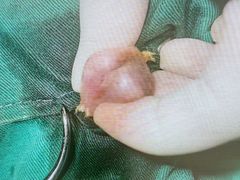 -佳雯宠物医院·皮肤科·内外科(春晓路分院)