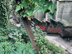 -黄桷坪涂鸦艺术街