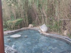 -徂徕山森林康养度假谷温泉