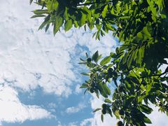 -北京水岸山吧度假村(雁栖镇店)